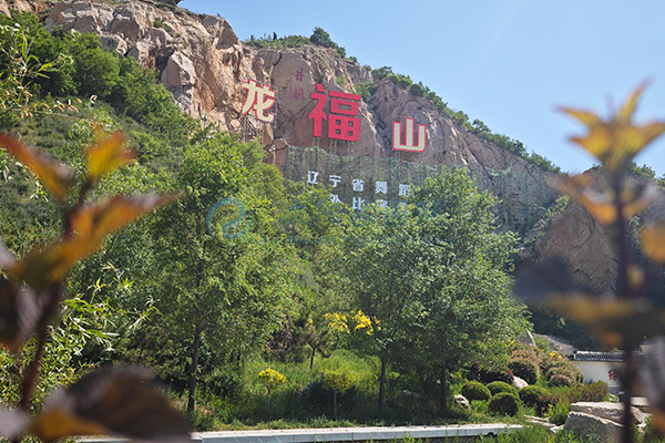 龙福山墓园