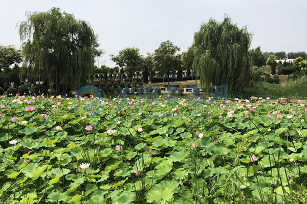2026沈阳墓园选购全指南：正规公墓对比深度解析