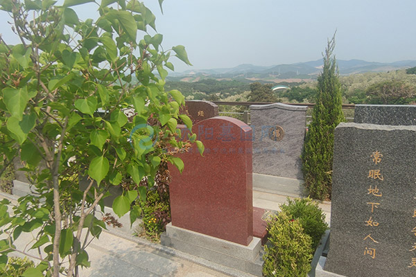 浑南与沈北地区好墓地怎么选？沈阳十佳正规墓园口碑榜（民政认证+真实评分参考）