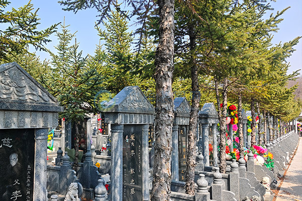 沈阳墓园背山面水环境好的区域在哪