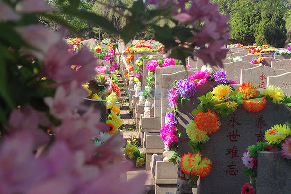 国企担当,慰藉心灵:沈阳回龙岗墓园践行为民服务责任 国企担当,慰藉心灵:沈阳回龙岗墓园践行为民服务责任