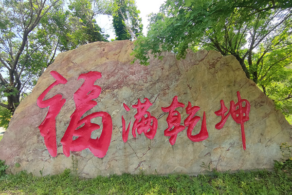 Ai婚姻中生命终点的托付与责任