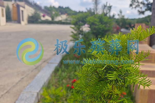 盘龙福地